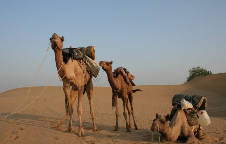 Thar Desert 870x555 1