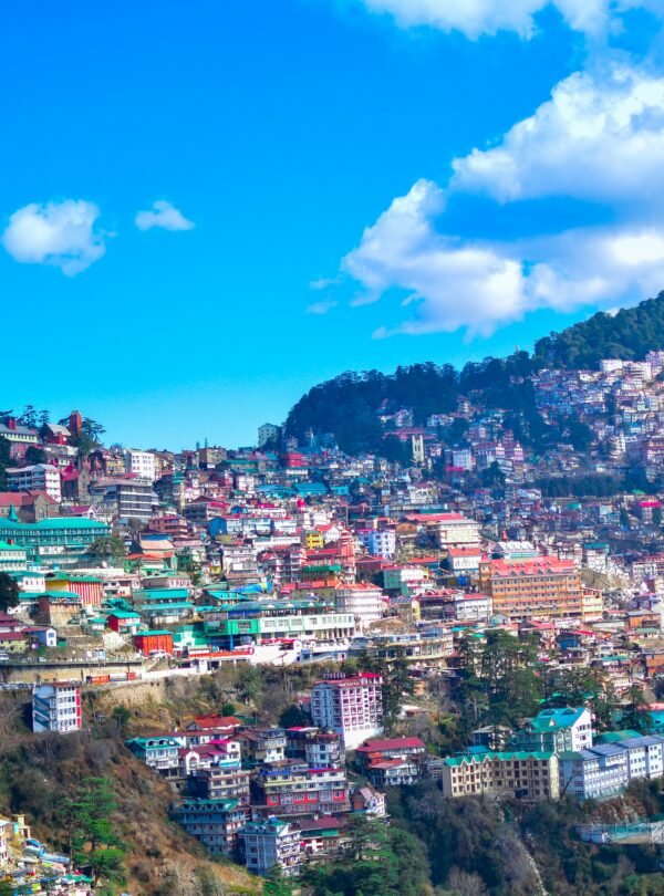 shimla